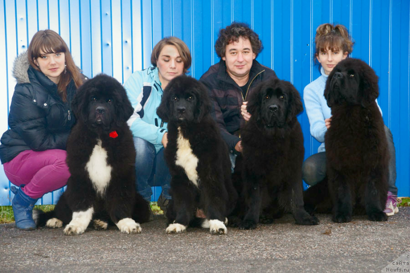 Фотография № 138442