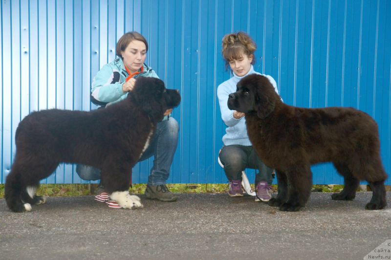 Фотография № 138444