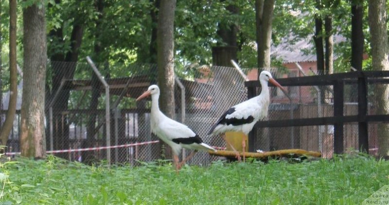 Фото: Svetlana Zyiryanova (Светлана Зырянова)