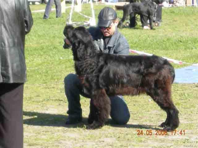 Фотография № 13849