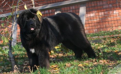 Фотография № 138492