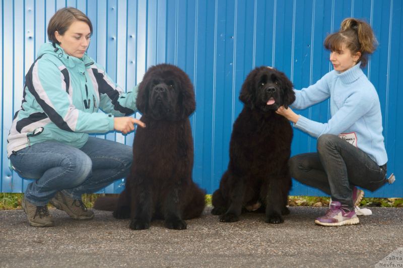 Фотография № 138506