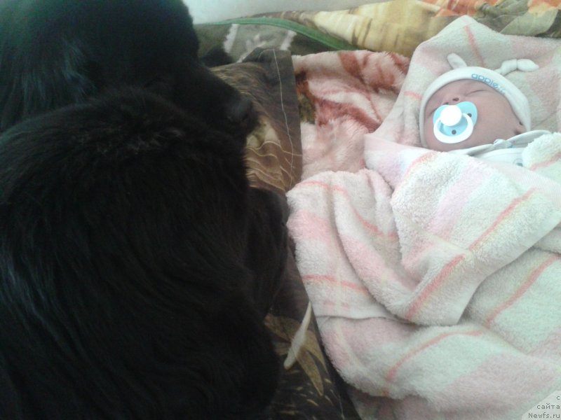 Фотография № 138520