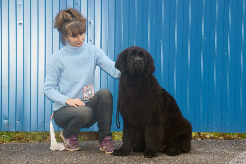 Фотография № 138522