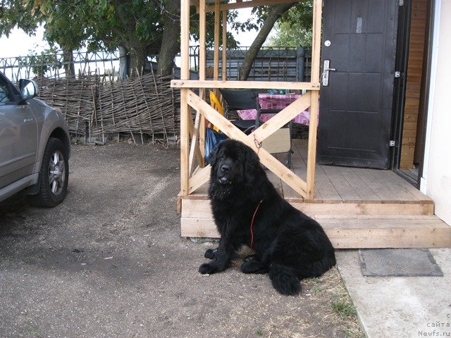 Фотография № 138550