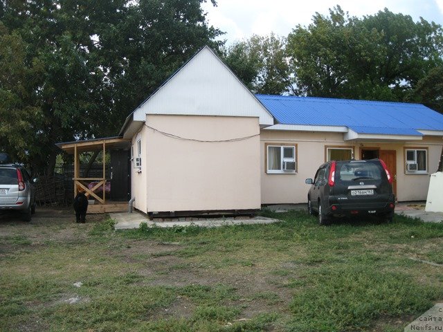 Фотография № 138551