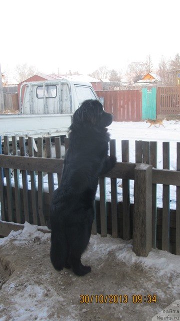 Фотография № 138558