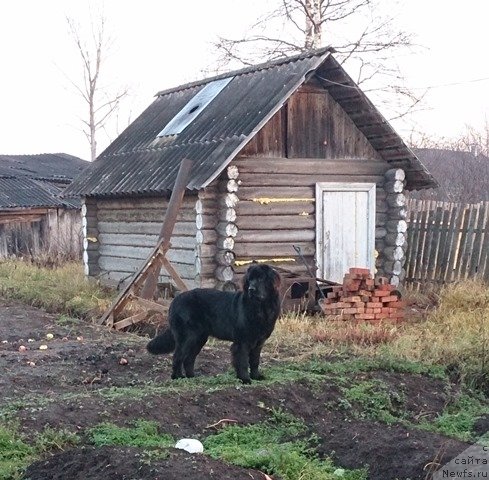 Фотография № 138562