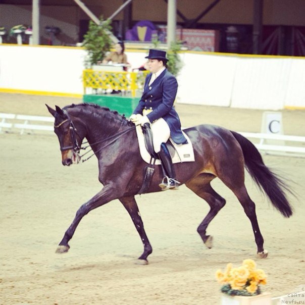 Фото: Mariya SHigal' (Мария Шигаль)