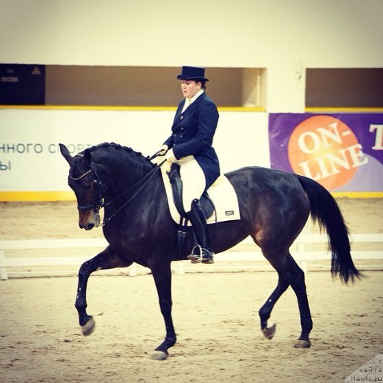 Фотография № 138587