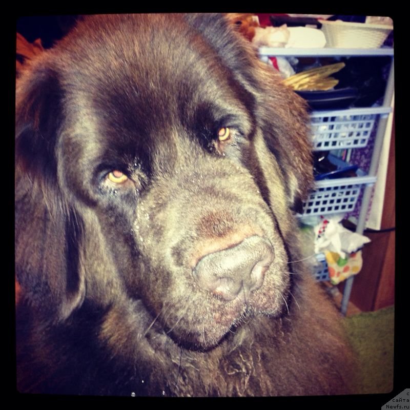 Фотография № 138593