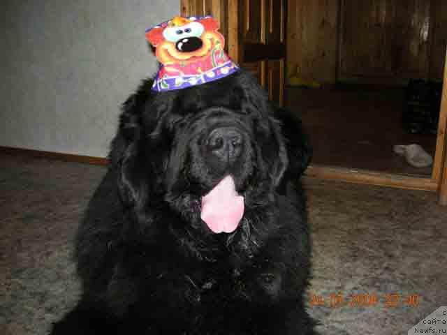 Фотография № 13860