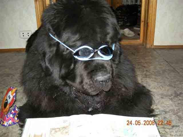 Фотография № 13861