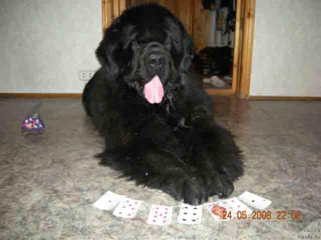 Фотография № 13863