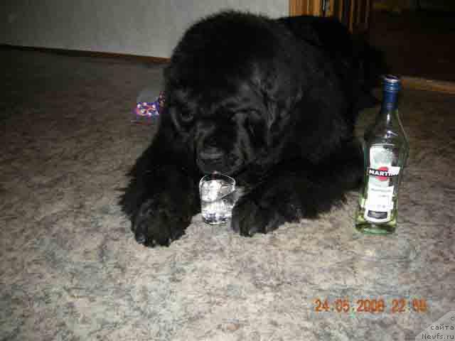 Фотография № 13865