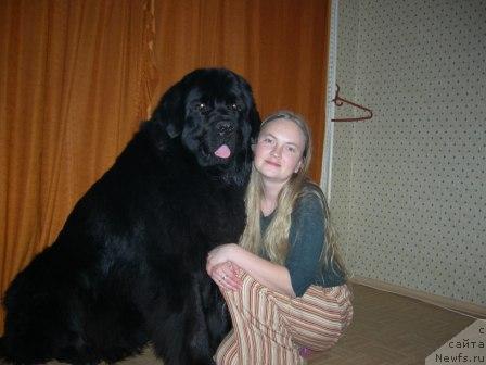 Фото: YEl'vira Knyazeva (Эльвира Князева)