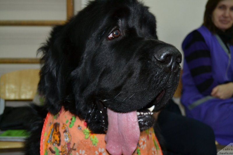 Фотография № 138696