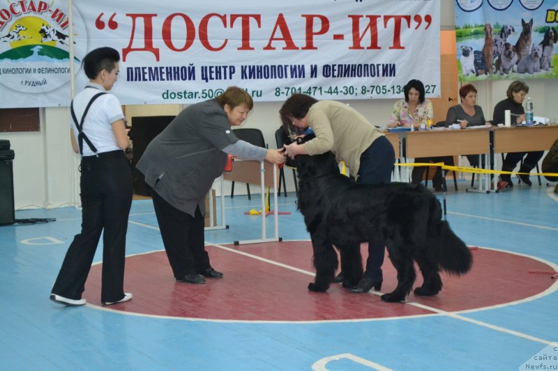 Фотография № 138700