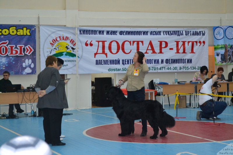 Фотография № 138701