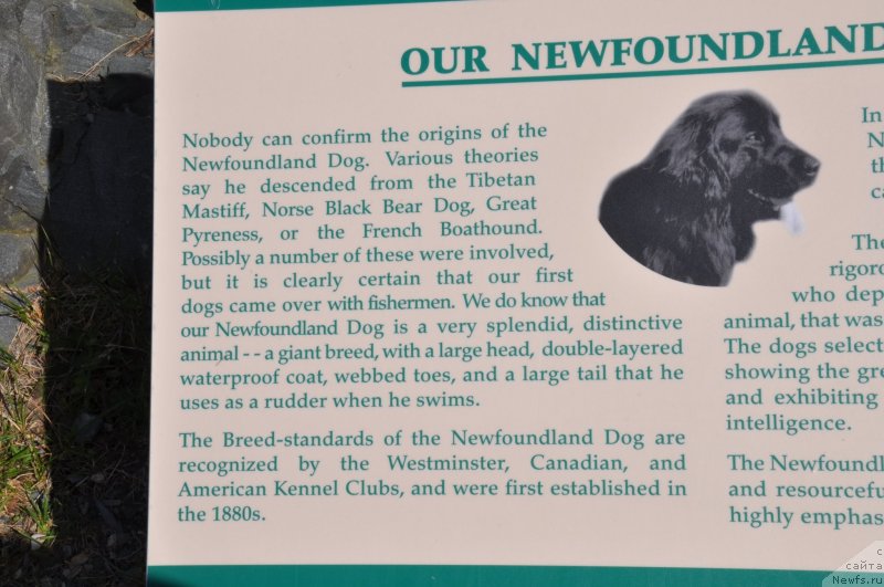 Фотография № 138775