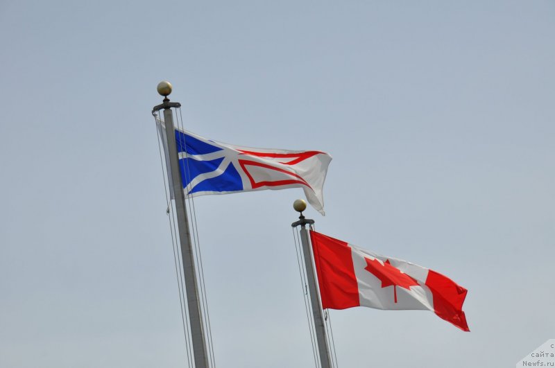 Фотография № 138784