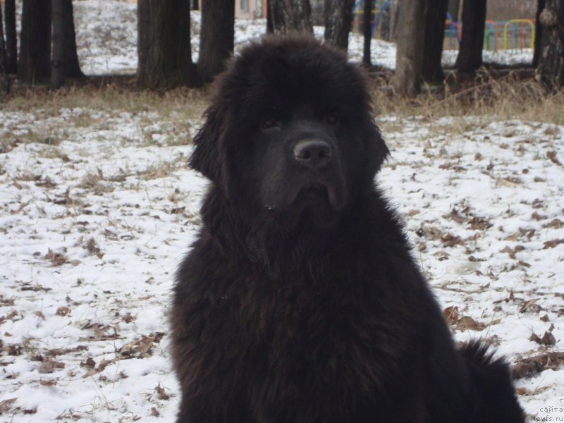 Фотография № 138799