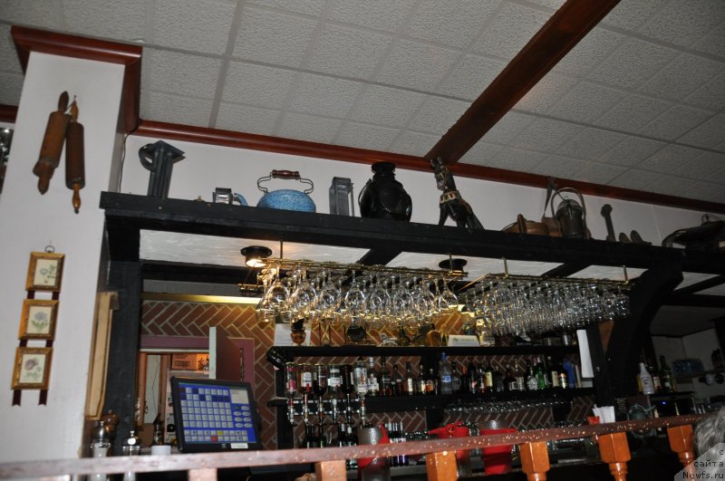 Фотография № 138805