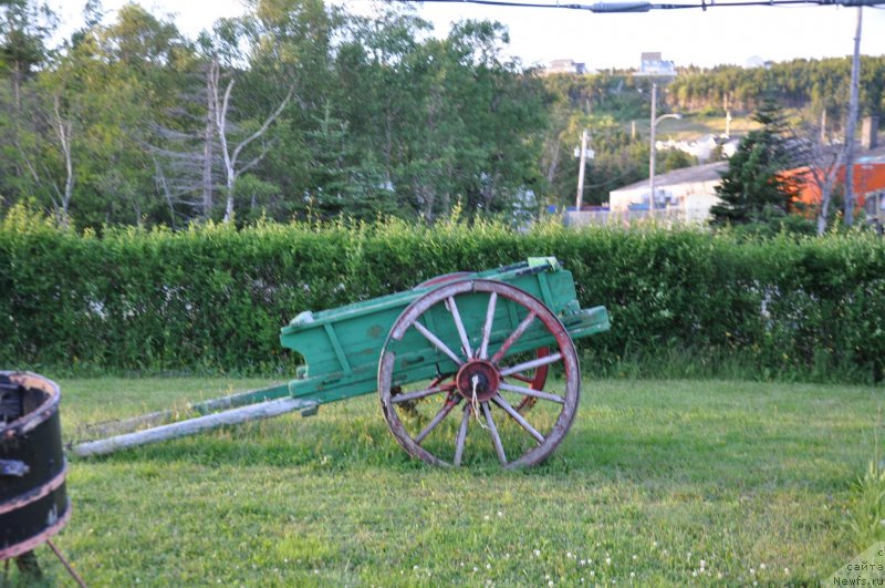 Фотография № 138809