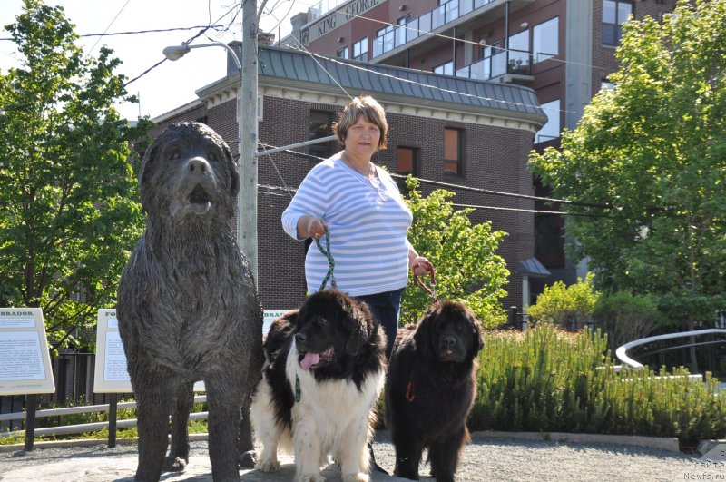 Фотография № 138835