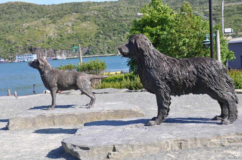 Фотография № 138837