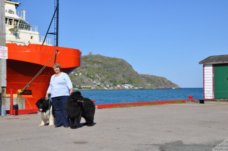 Фото: Marina Turapina (Марина Турапина)