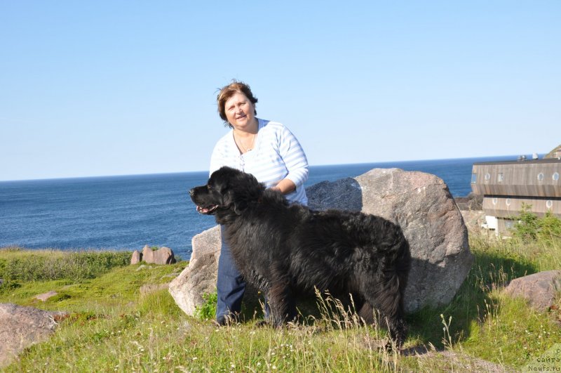 Фотография № 138846