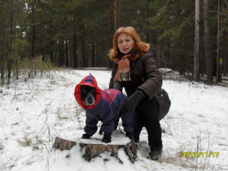 Фото: Ася - наша с Дашей любимица, Tat'yana Poydina (Татьяна Пойдина)