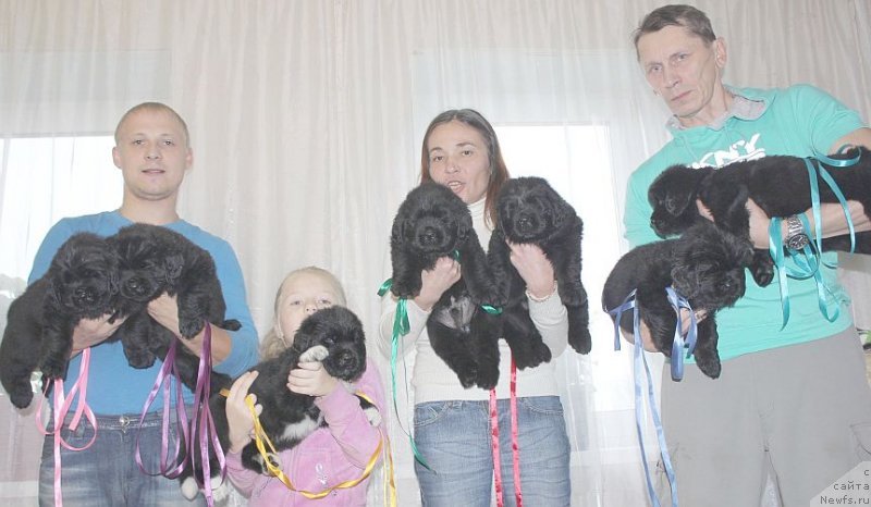 Фото: ньюфаундленд Dar Svezy Unika Sagitta (Дар Свезы Юника Сагитта), Irina Bubnova (Ирина Бубнова), и Андрей