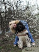 Фотография № 138963