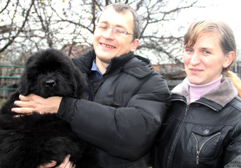 Фото: Antonina Efimenko (Антонина Ефименко), ньюфаундленд Vivienne Westwood Dinastiya Soverchenstva (Vivienne Westwood Dinastiya Soverchenstva)