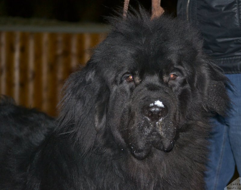 Фотография № 138999