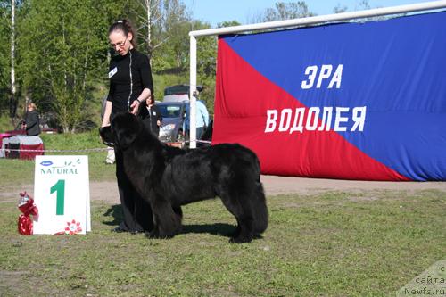 Фотография № 13902