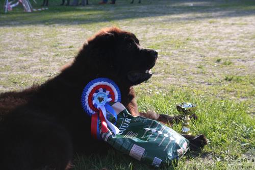 Фотография № 13904