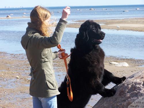 Фотография № 13905