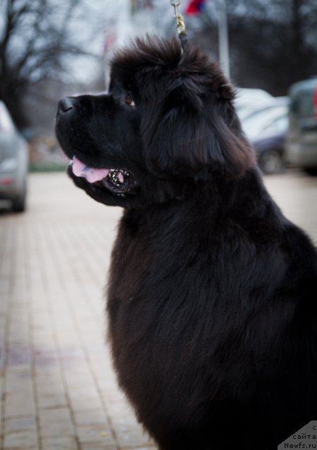 Фотография № 139067