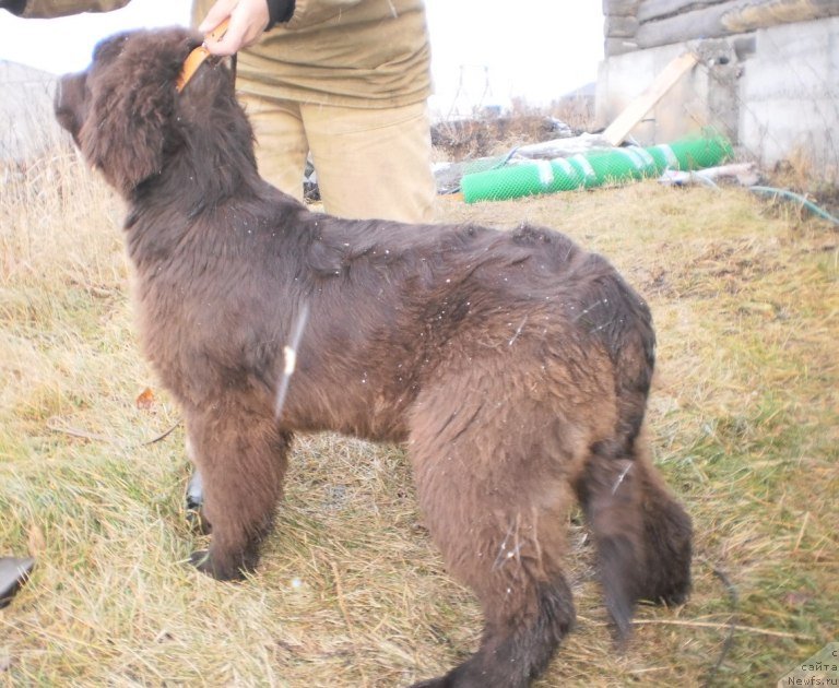 Фото: Владелец, Ol'ga Milicyina (Ольга Милицына)