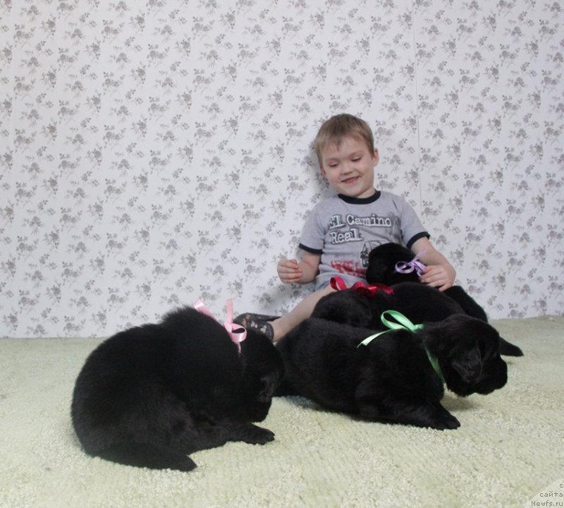 Фотография № 139084