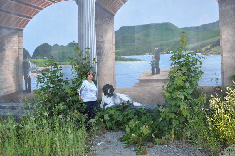 Фотография № 139096