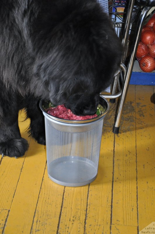 Фотография № 139098