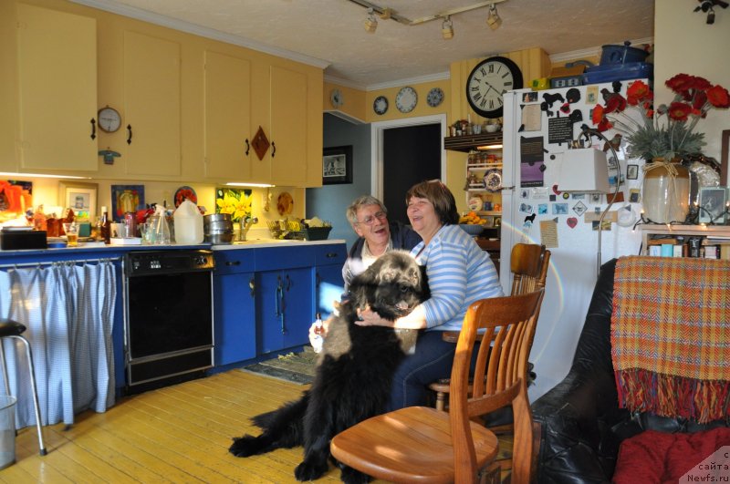 Фотография № 139100