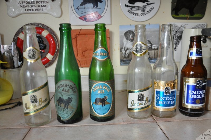 Фотография № 139114