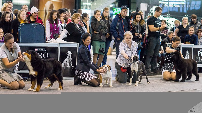 Фотография № 139122