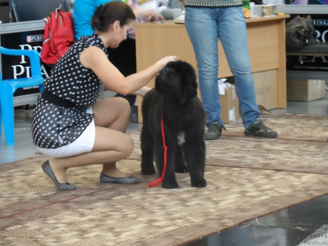 Фотография № 139127