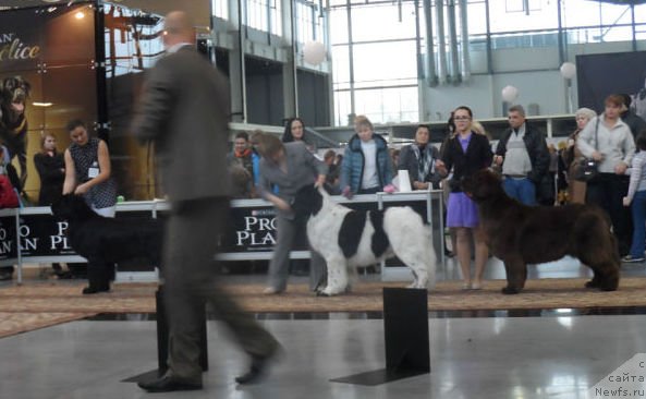 Фотография № 139129